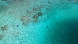 People swimming in blue sea on Aruba