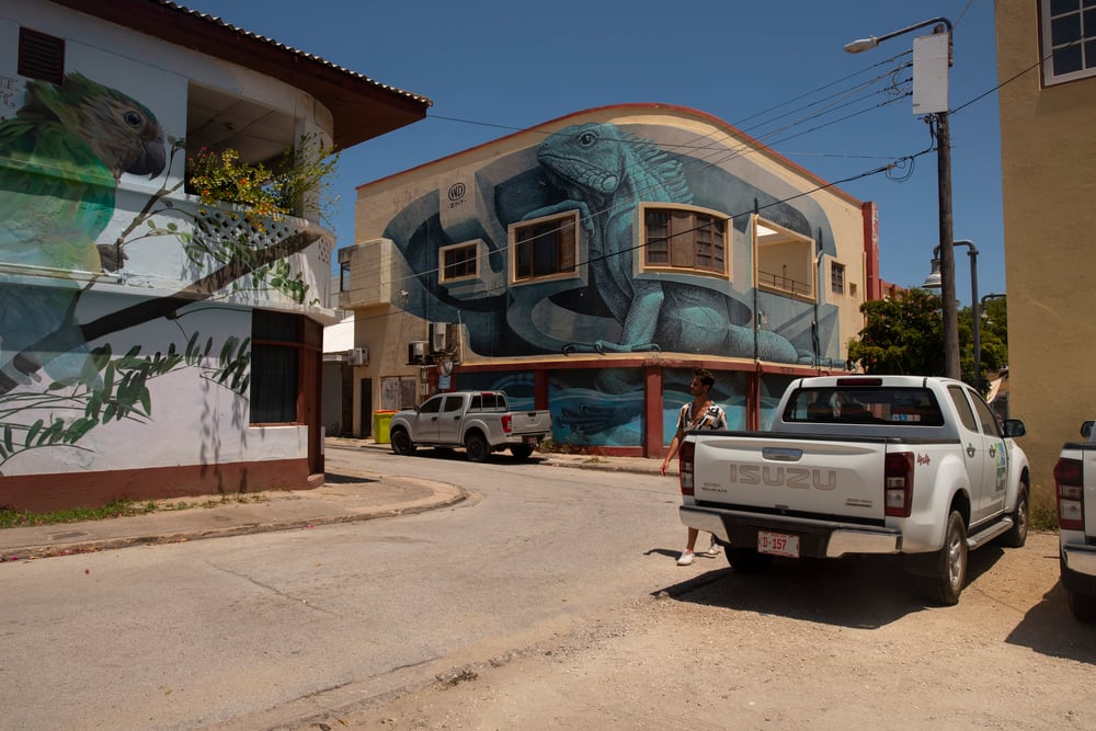 A pickup truck as a rental car in the streets of Aruba