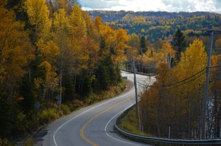 Road through autumn forest in Canada