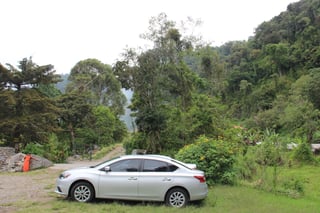 Grey car parked on the start of a jungle hike