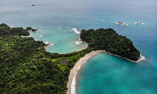 A jungle beach next to the ocean in Costa Rica