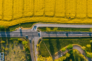 Yellow fields on the side of the highway in Poland
