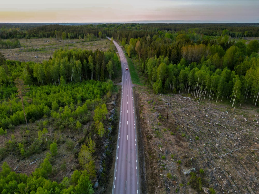 Road through a forest in Sweden