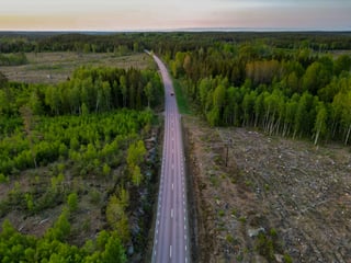Road through a forest in Sweden