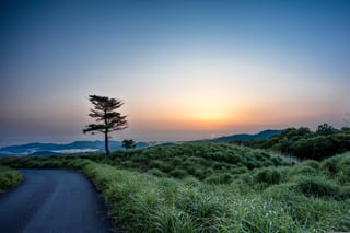 Road to sunset in Japan