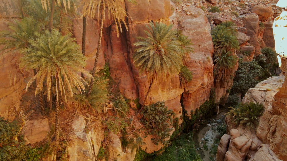View of Dana Trail, Palm Canyon, Jordan