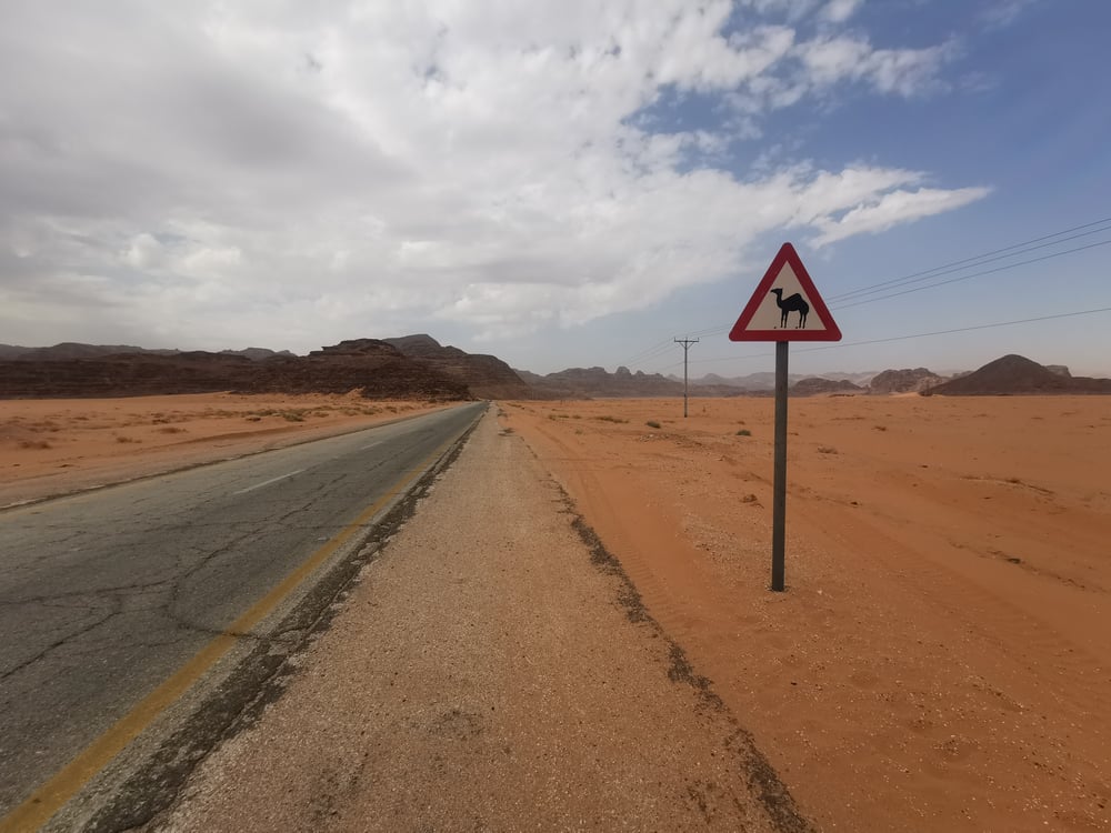 Warning sign with camels along the road in Jordan