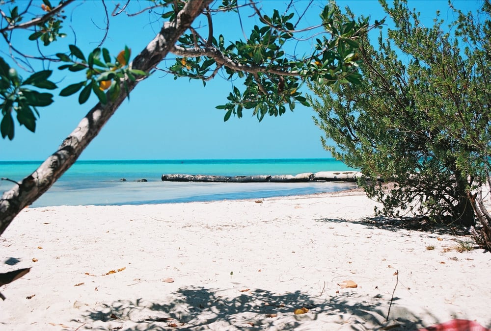 With your rental car to the playa of Holbox