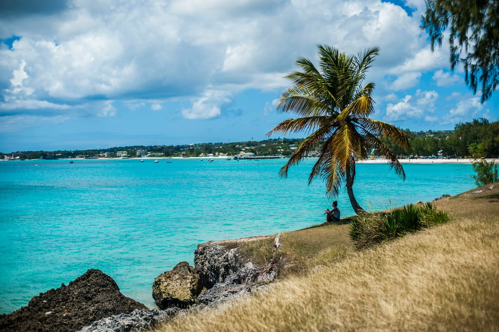 Coast view of Barbados
