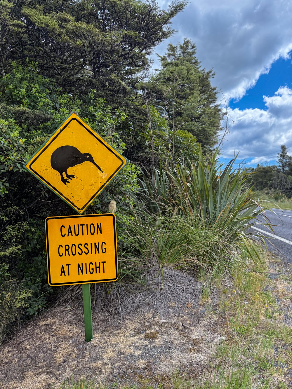 Yellow warning sign for Kiwi crossing