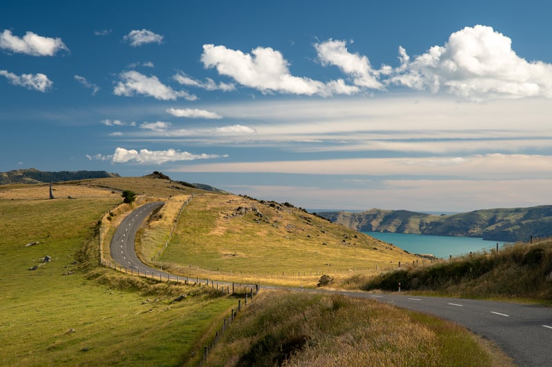 View on a road in Akaroa  with green fields and turquois water