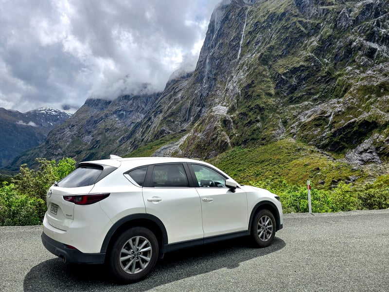 White car with a view of Milford Sound landscape