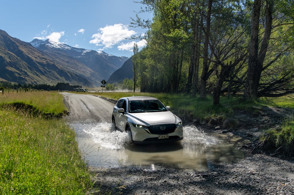 White car crossing a flood through green trees and meadow